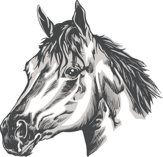 El CANELO Botas y Botines